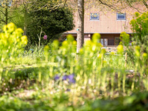 Jardin-des-plantes-sauvages-C.-Blondel-(2)