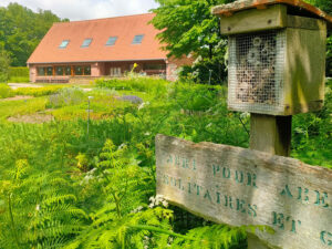 Jardin-des-plantes-sauvages-C.-Henderyckx