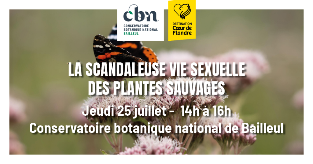 sortie nature Flandres