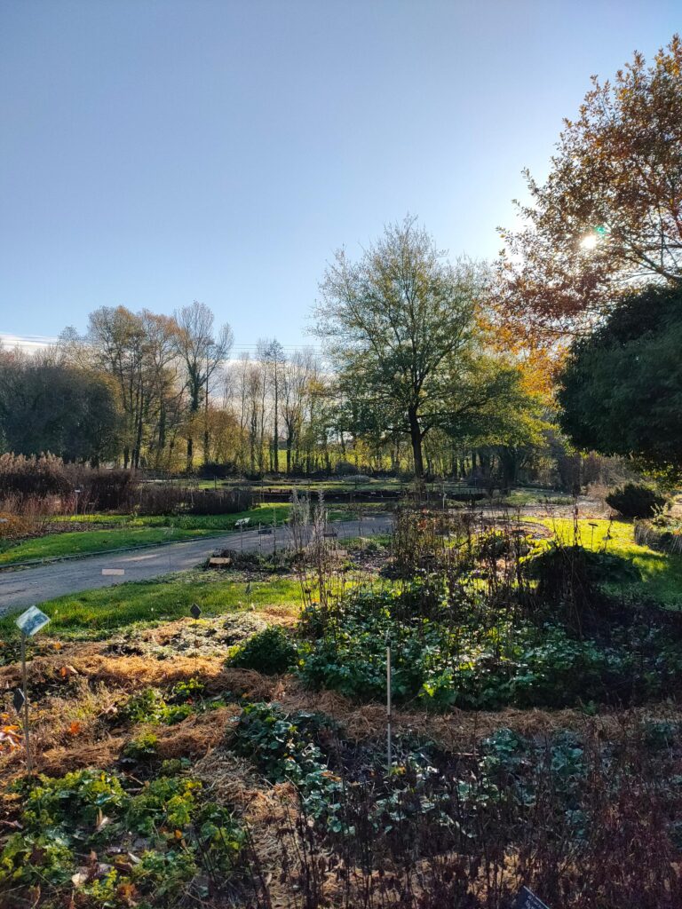 Jardin en automne Bailleul