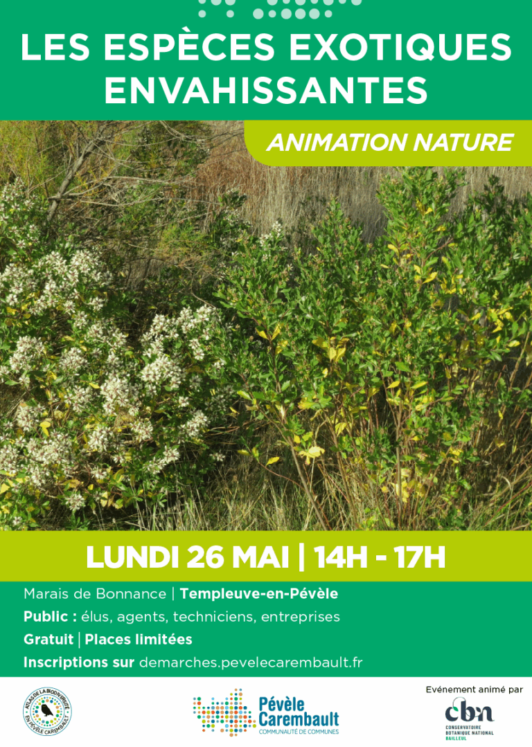 A3 - Animation 26 mai