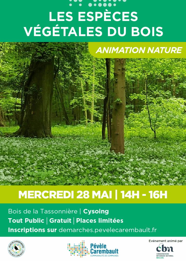 A3 - Animation 28 mai