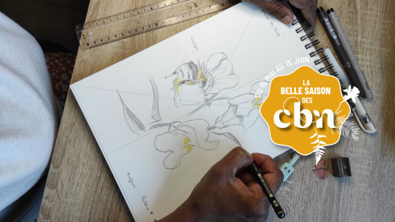 atelier-dessin-rec
