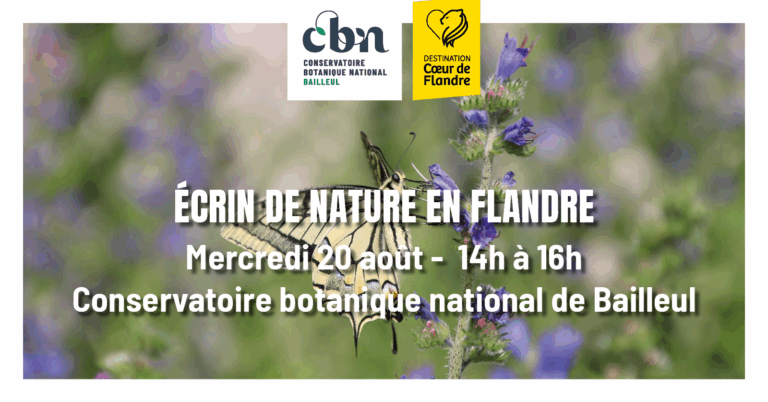 ecrin de nature en flandre