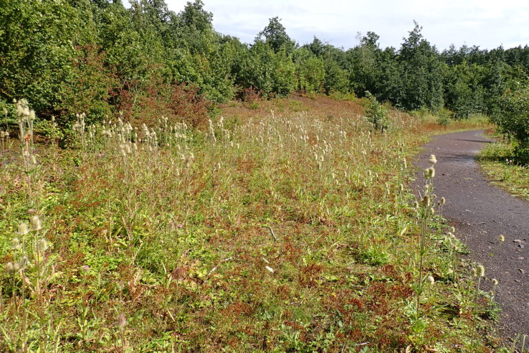 P8070047