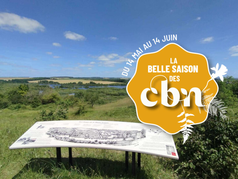 Vue du Belvédère de Frise