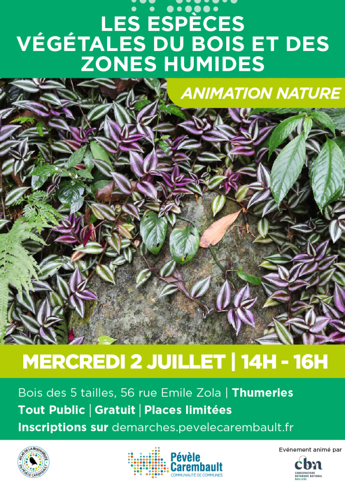 animation_2_juillet
