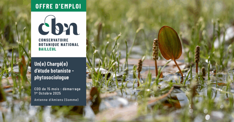 visuel offre emploi charge etudes bota phyto