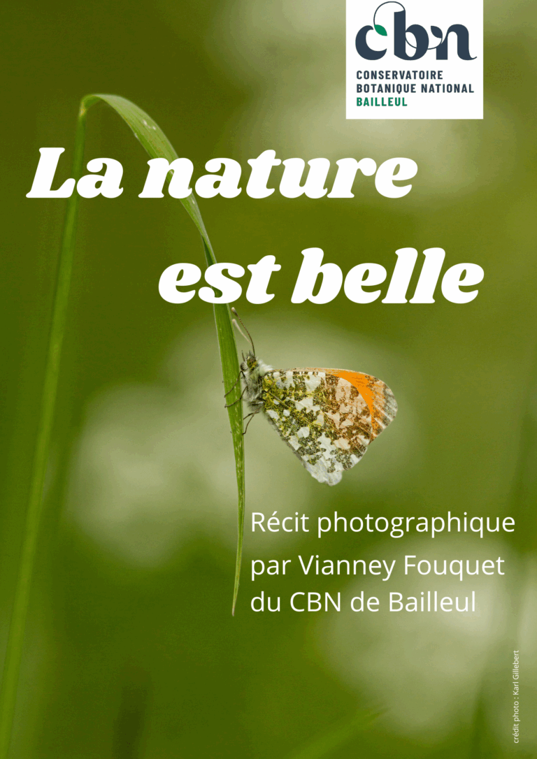 La nature est belle (1)