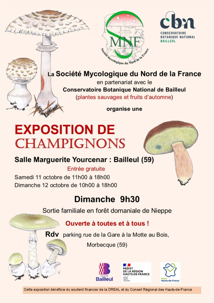 Affiche-expo-Bailleul-2025-724x1024