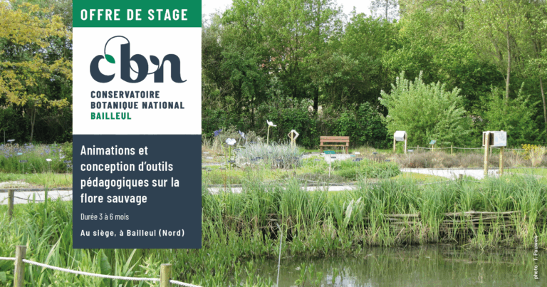 visuel offre stage sefec 2026