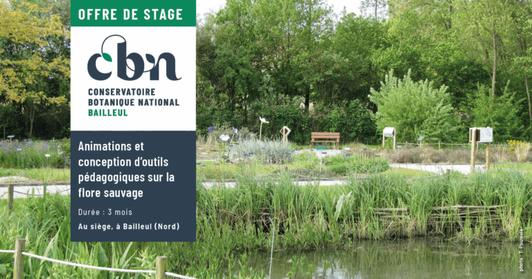 visuel offre stage sefec 2026